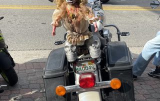 IMG_9224_800