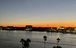 IMG_9379_800