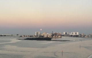 IMG_9384_800